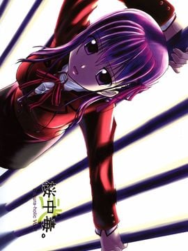 (C67) (同人誌) [比村乳業(仮)] 桜中毒。弐 (Fate／stay night)(中文化)