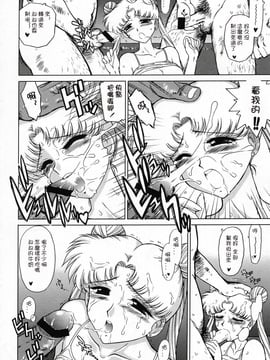 21(C66)(同人誌)[BLACK DOG(黒犬獣)] BURNING DOWN THE HOUSE (セーラームーン) [lzmcsa個人漢化]_blackdog_020