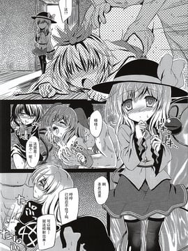 (例大祭12) [Reverse Noise (やむっ)] 目立ちたがりの快楽主義者 (東方Project)[朔夜漢化]_06