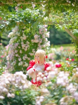 (C93) [Shooting Star's (Saku)] Nero Collection_0010