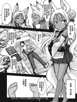 [端末異常 (BadHanD)] 双狐の帳 其の肆_styon05