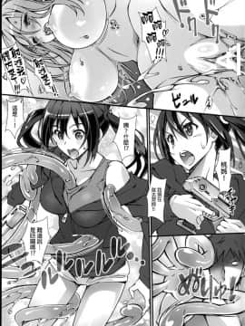 (C90) [pinvise (涼月くらら)] Irregular Contact [final個人漢化]_IMG_0013f
