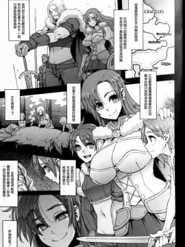 (COMIC1☆13) [DA HOOTCH (新堂エル)] BOUDICA -約束されざる勝利の女王- (FateGrand Order)[废欲加速汉化]_03