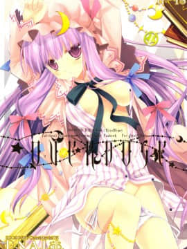 [绯色汉化组] (C76) [D・N・A.Lab. (ミヤスリサ)] OVERDOSE (東方Project)_0001