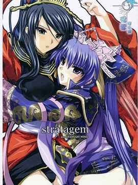 [飛雪漢化組] (同人誌) [FANTASY WIND (しなのゆら)] stratagem (三国志大戦)