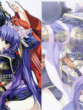 [飛雪漢化組] (同人誌) [FANTASY WIND (しなのゆら)] stratagem (三国志大戦)_yukict_stratagem_02