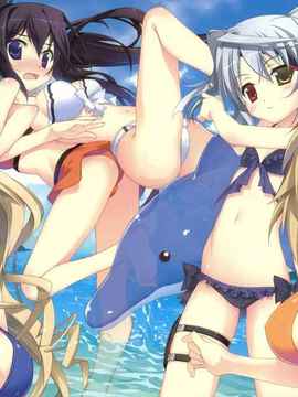 [空気系★汉化] (C80) [ESSENTIA (藤真拓哉)] 夏式IS☆びーち (IS〈インフィ_003