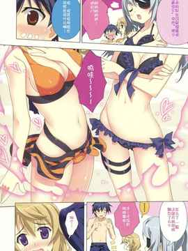 [空気系★汉化] (C80) [ESSENTIA (藤真拓哉)] 夏式IS☆びーち (IS〈インフィ_006