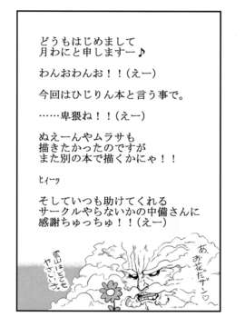 (C80) (同人誌) [サークルぬるま屋] ひじりん夢妄想 (東方)_35