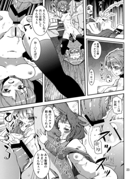 の唄 (宝あきひと)] 鳥獣せっくす! (東方Project)__023
