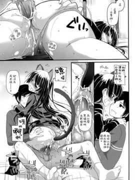 [Genesis漢化] (C83) (同人誌) [Digital Lover (なかじまゆか)] D.L.action 73 (俺の妹がこんなに可愛いわけがない)_IMG_0012