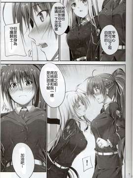 (C83)(同人誌)[IV VA SHIN (みくに瑞貴)] Home Sweet Home ～シグナム編～ (魔法少女リリカルなのは)[Drz漢化]_img005