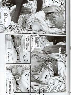 (C83)(同人誌)[IV VA SHIN (みくに瑞貴)] Home Sweet Home ～シグナム編～ (魔法少女リリカルなのは)[Drz漢化]_img015