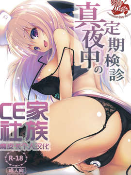 C84真夜中の定期検诊 Hentai Comics