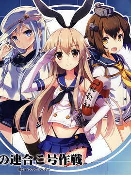 (C85) (WIND MAIL 猫の温泉冬 Island of Horizon)(An2A nyanya H2SO4)冬の連合こ号作戦 Hentai Comics