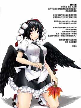【CE家族社】(C82) [satomachine. (佐藤36)] SPEED. (東方Project)_CE_518_002