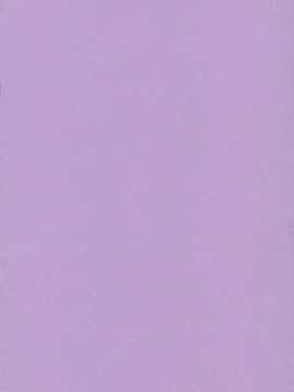 [Medical Berry] Fragrance of Lilac (negima)[Befreiungsfuehrer第二次个人汉化]_003