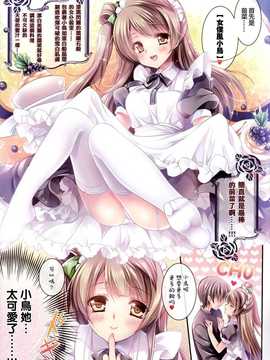 (C87) [Wish～希望の翼～ (櫻野露)] ことりのSPECIAL LOVE SET (ラブライブ!) [无毒汉化组] 【全彩】_IMG_0008