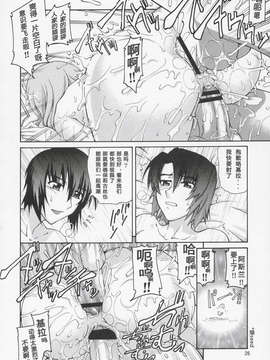(C69) [GOLD RUSH (鈴木あどれす)] Thank you! ラクス END (機動戦士ガンダムSEED DESTINY) [graviton个人汉化]_025