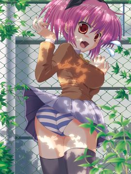 微エロ画像02_niji-2015082416-004