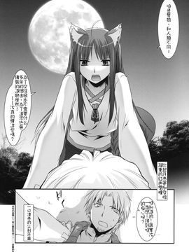[Digital Lover(なかじまゆか)] (COMIC1☆2) D.L.action 43 (狼と香辛料) [中]_17