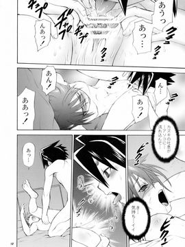 [幸田ん舎 (幸田朋弘)] (C71) ほどほどタイム (武装錬金)_11