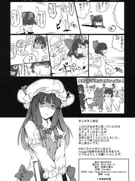 [笑顔で暴力 (mogg)] (例大祭11) MIKORAPE (東方Project)_21