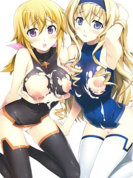 [Yan-Yam (Yan-Yam)] (C81) 淫フィニット マスカレード (インフィニット・ストラトス) [中]_scan0003