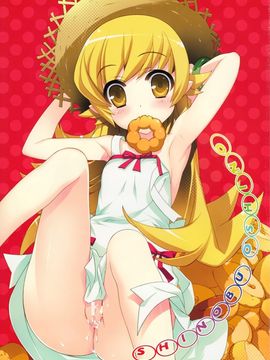 [Yan-Yam×ESSENTIA (Yan-Yam、藤真拓哉)] (COMIC1☆6) 艶物語 (化物語) [中]_CE_100_002