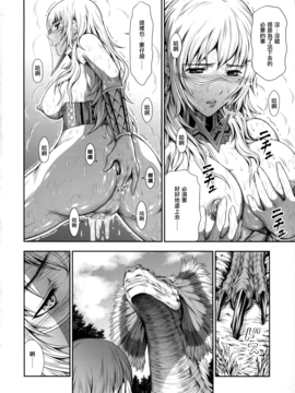 (C89) [Yokohama Junky (魔狩十織)] ペアハンターの生態vol.2-1 (モンスターハンター)_030