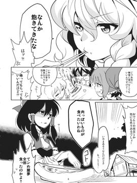 (C87) [デッドラインブレイカー (ミヤジ)] ワカドリトカラアゲ (東方Project)_JhgJAQ_006