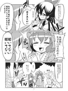 (C87) [デッドラインブレイカー (ミヤジ)] ワカドリトカラアゲ (東方Project)_JhgJAQ_007