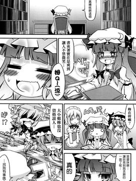 (C78) [乃屋 (ノヤマコト)] 東方塩不足 (東方Project)[空空+天子漢化]_04