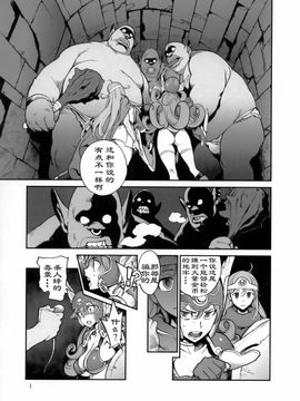 （C75）[ピリストローイカ (胃之上奇嘉郎)] 冒険者達の檻 (勇者斗恶龙3)_002