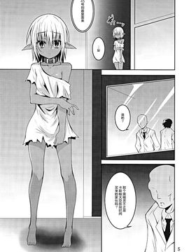(C89) [夜の勉強会 (ふみひろ)] DARK ELF BREAKING_004