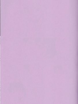 (C79) [G-SCAN CORP. (佐藤茶菓子)] Le beau maître 8 (ゼロの使い魔)_002