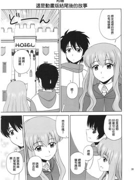 (C82) [G-SCAN CORP (佐藤茶菓子)] Le beau maître 10 (ゼロの使い魔)_038