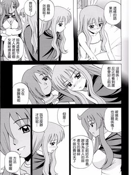 (C71) [G-SCAN CORP. (佐藤茶菓子)] Le beau maître (ゼロの使い魔)_009