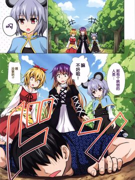 [琉璃神社汉化][かみか堂 (銀曜ハル)] 幻想郷楽園化計画 13 (東方Project)_01