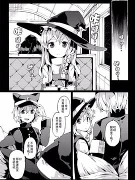 (C87)[相生青唯] 銀河鐵道與星之魔法使 (東方Project)[喵玉漢化]_07