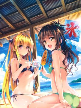 [矢吹健太朗] To LOVEる―とらぶる― ダークネス画集 Harem Gold_012