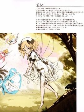 (例大祭13) [劇毒少女 (ke-ta)] 妖精のドロワーズ２ (東方Project)_03