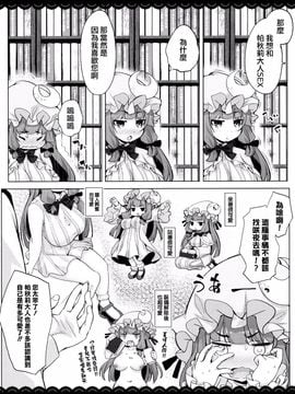 (例大祭13) [伊東ライフ] ぷにぷにパチュリー様 (東方Project)[迷途竹林漢化]_05
