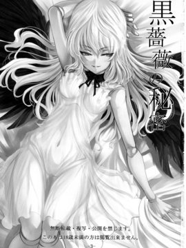 (C79) [LAMINARIA (しおこんぶ)] 黒薔薇の秘密 (ローゼンメイデン) [中国翻訳]_img_002
