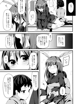 (例大祭13) [妖幼夢 (にご)] うさぎのよりどころ (東方Project)_18