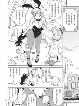 [Finecraft69 (6ro-)] エロマンガール (ドラゴンボール)_019