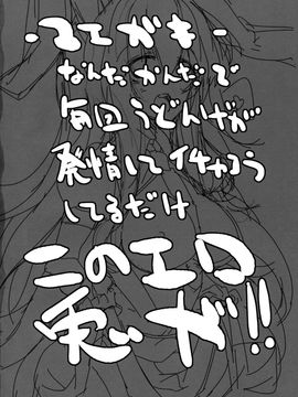 (例大祭13) [662KB (拾次)] Estrus Rabbit!!!! (東方Project)_03