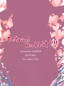 (例大祭13) [662KB (拾次)] Estrus Rabbit!!!! (東方Project)_18