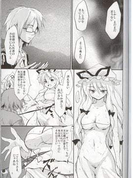 (C68) [PARANOIA CAT (BRO'S)] 東方浮世絵巻 八雲紫 (東方Project)_06