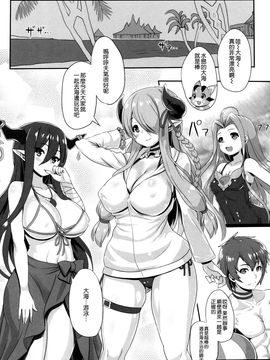 [Primal Gym (カワセセイキ)]Sleepless summer (グランブルーファンタジー) [空気系☆漢化]_004